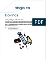 PDF Inyectologia en Bovinos - Compress