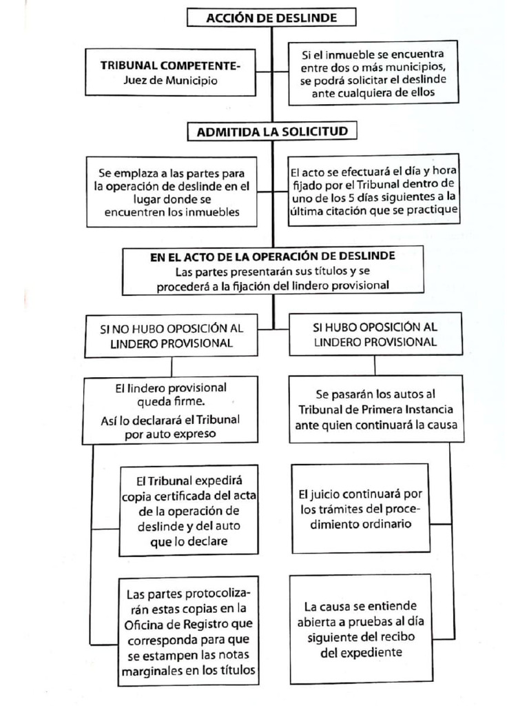Proceso de Deslinde | PDF