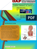 Bronquitis-Terminado Diapo