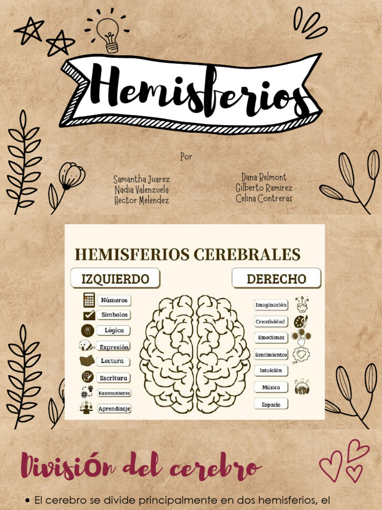 Funciones y Estructura de los Hemisferios Cerebrales | PDF | Hemisferio ...