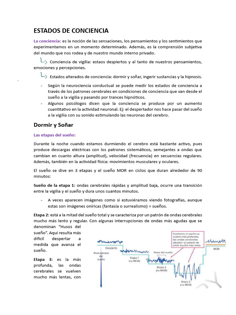 Estados de Conciencia y Sueño MOR | PDF | Dormir | Sueño