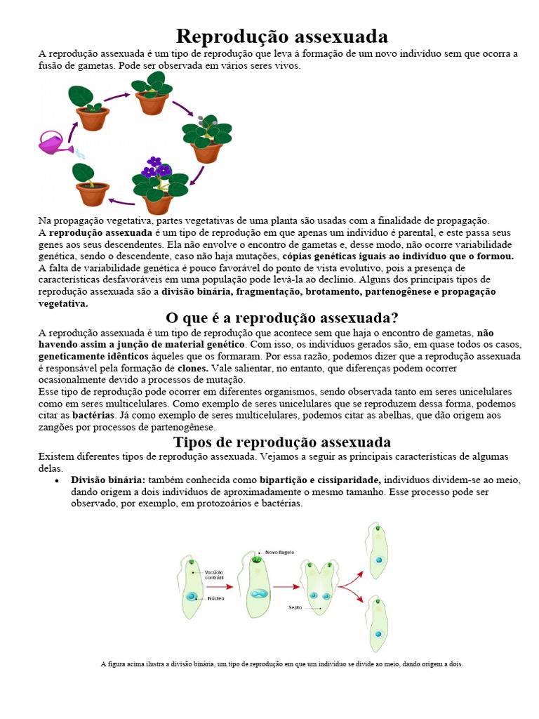 Reprodução Assexuada Eja 3º p | PDF | Reprodução | Biologia