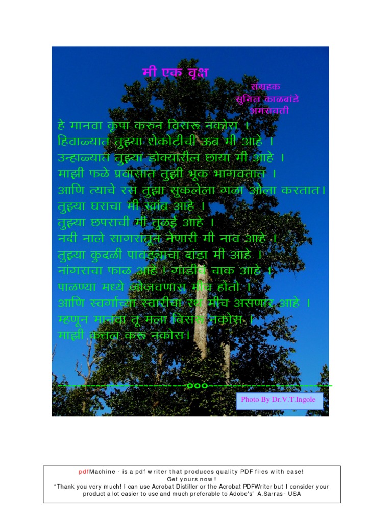 Marathi Sankalan Tree or Wruksh by Sunil Kalbande Amravati