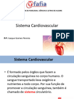 Sistema Cardiovascular