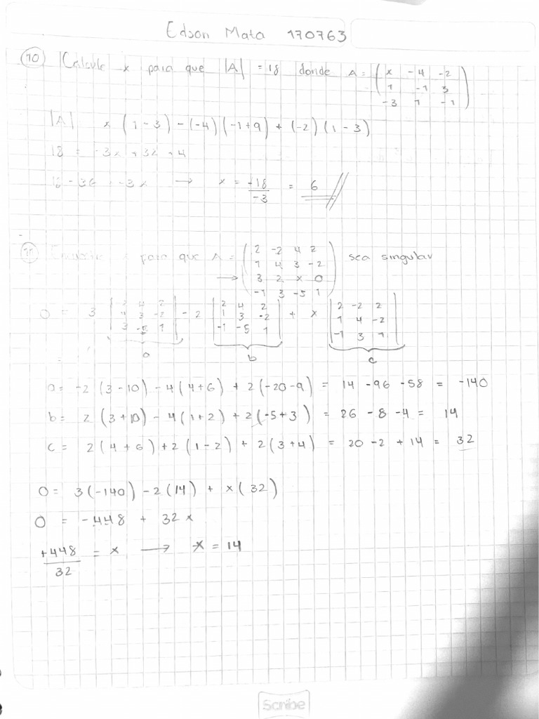 Documento pdf