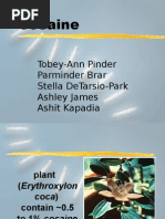 Cocaine_Presentation_1_[1]