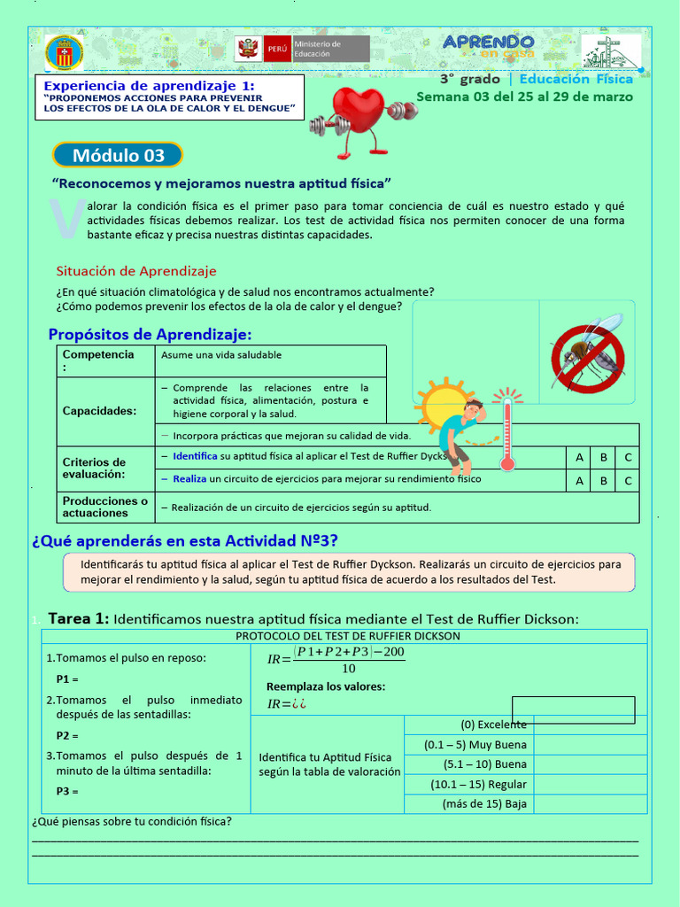Módulo - 3 - Test Ruffier | PDF | Aptitud física | Aprendizaje