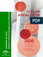 Salud 5af9587ad37fa Plan Provincial Salud Jaen 240511 180835