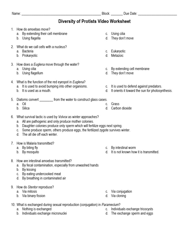 09 Diversity of Protists Video Worksheet | PDF | Fertilisation | Cell ...