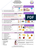 Pauta Alimentaria Puérpera