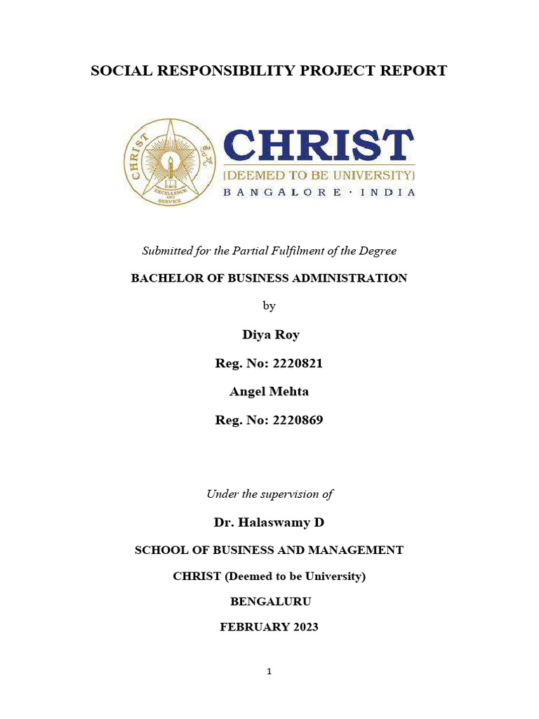 Srp file | PDF | Corporate Social Responsibility | Mental Health