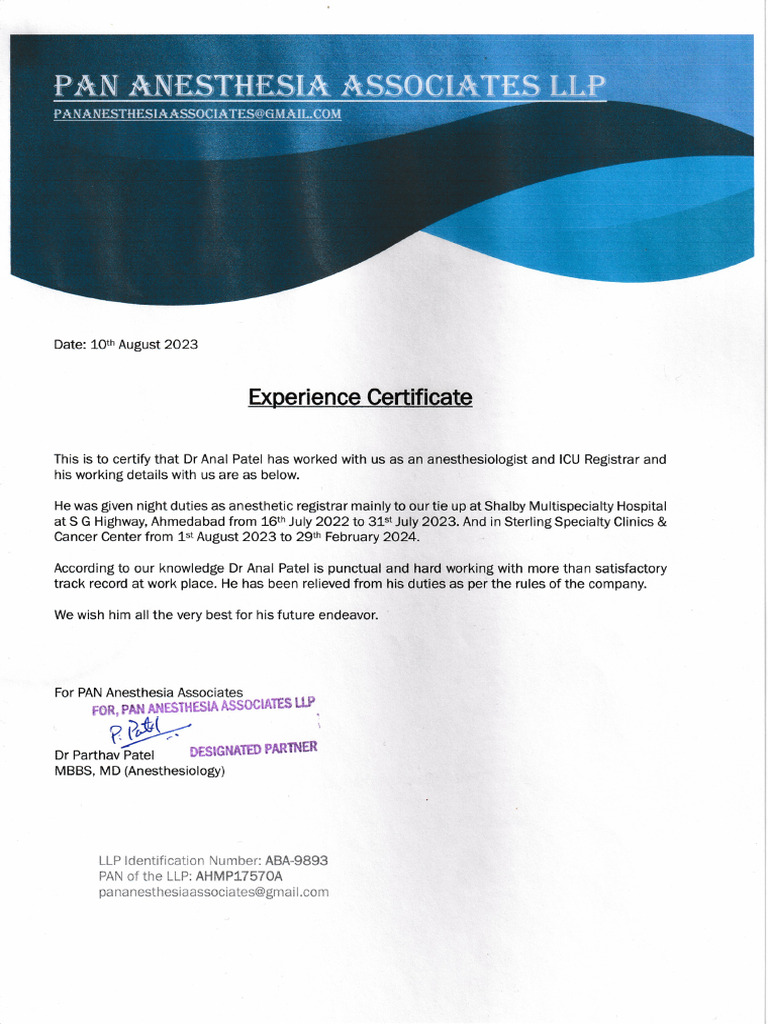 Experience | PDF