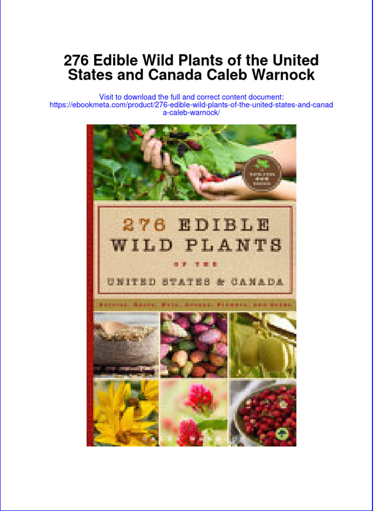 documentupload_9291 PDF Maple Syrup Diabetes