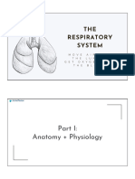 Respiratory: Anatomy + Physiology