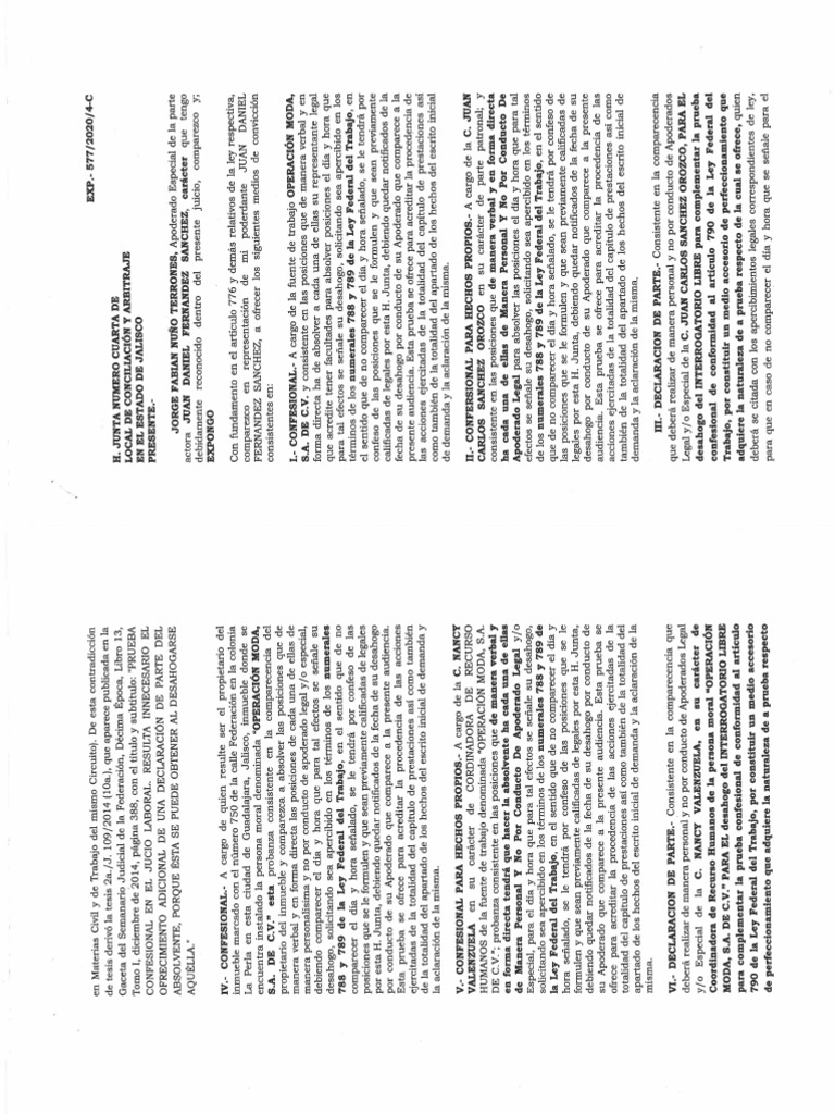Escrito Ofrecimiento de Pruebas - Parte Actora | PDF