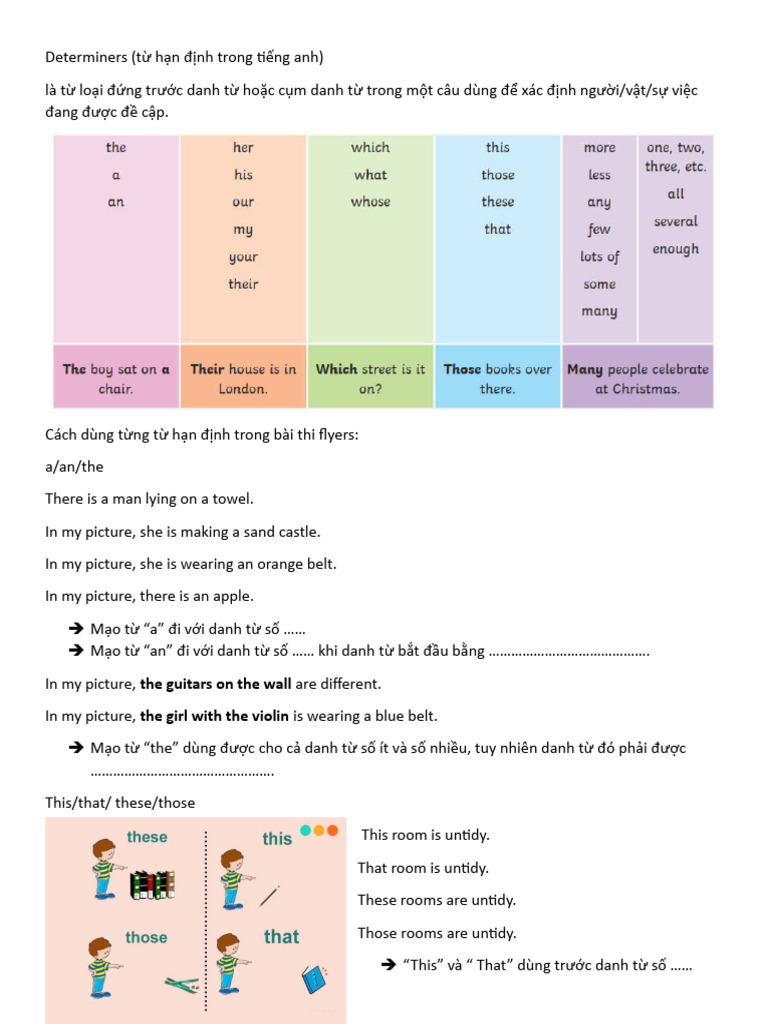 DETERMINERS | PDF