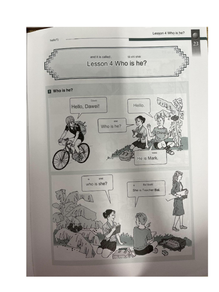 Platanus orientalis visual data 6