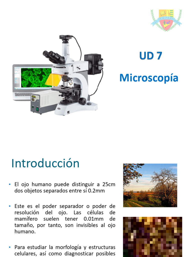 Preparación de Muestras para Microscopía | PDF | Microscopio | Óptica