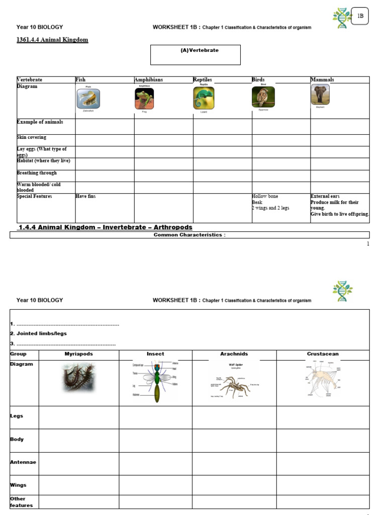 Vertebrate Classification: Dichotomous Key Lab, image size:768x1024