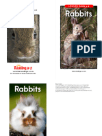RAZ-A 019 Rabbits