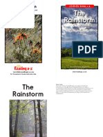 RAZ-A 018 The Rainstorm