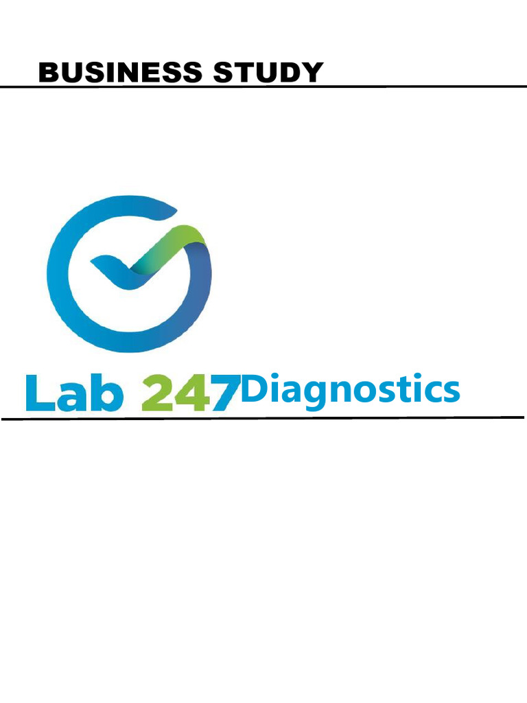 BUSINESS - PLAN - LAB247 FInal | PDF | Profit (Economics) | Marketing