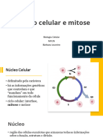 aula 10- Núcleo celular e mitose (2)