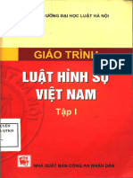 Giáo Trình Luật Hình Sự Việt Nam - Tập 1