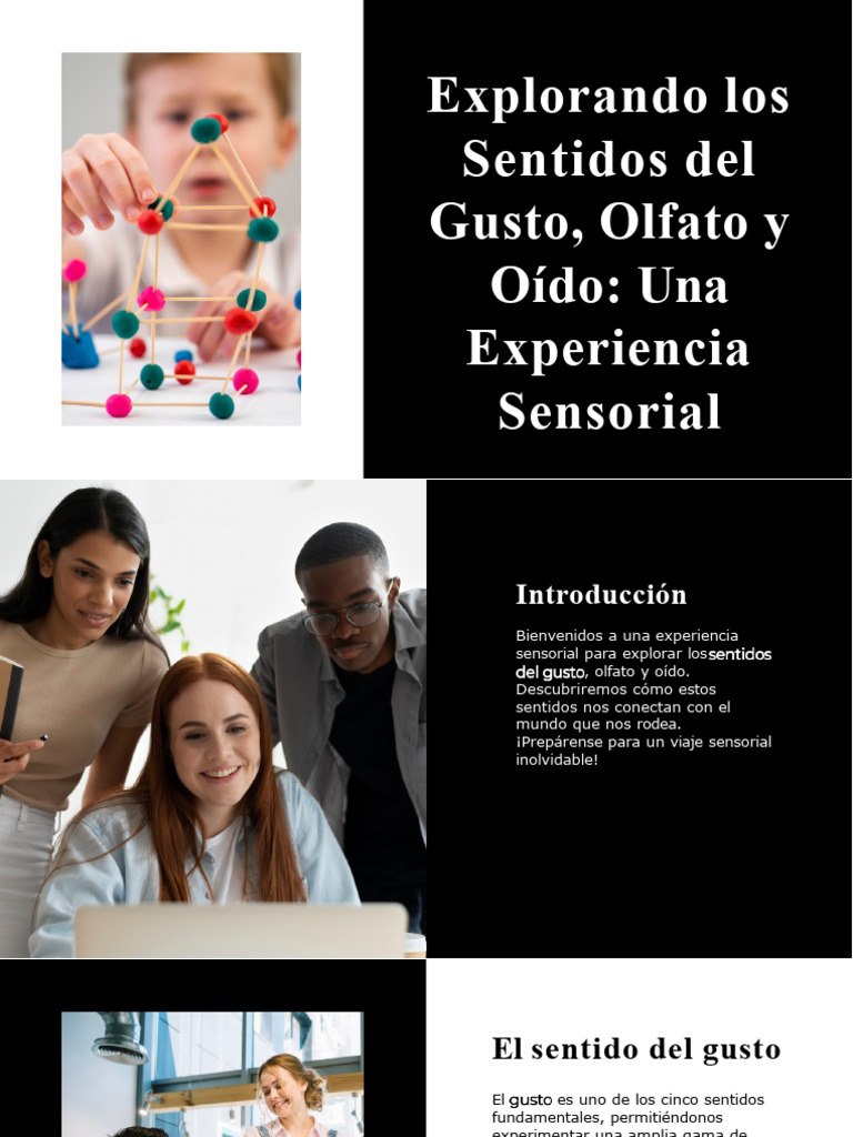 Explorando Los Sentidos Del Gusto Olfato Y Oido 1 Pdf Gusto