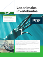 09_Invertebrados