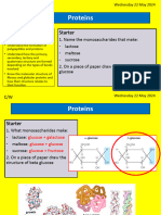 1A5 Proteins