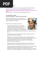 Download Kefir no  Iogurte by api-3745500 SN7350224 doc pdf