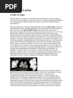 Download Diferenas Entre Kefir de gua e de Leite by api-3745500 SN7350237 doc pdf