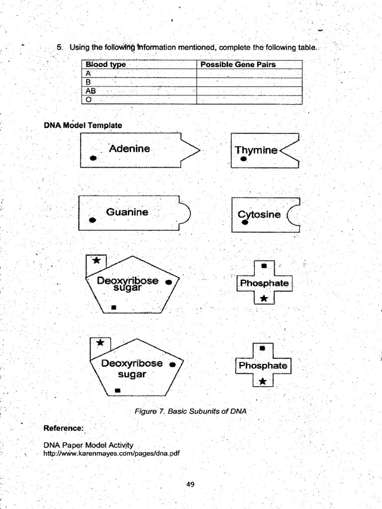 Dna template pdf
