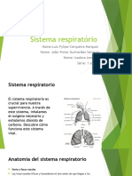 Sistema Respiratório