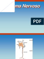 01 Sistema Nervoso, Sinapsi, Neurotrasmettitori