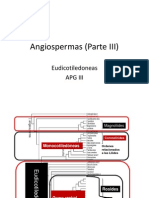 Angiosperm As III