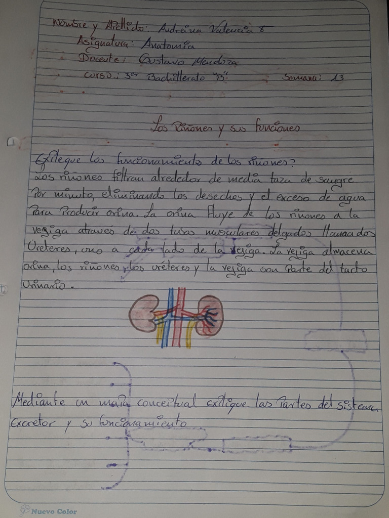 Documento Indescifrable: Texto Ilegible | PDF