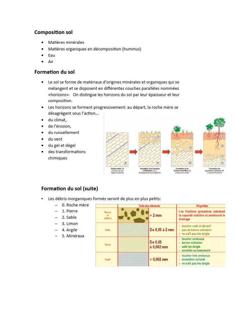 Composition et formation du sol | PDF