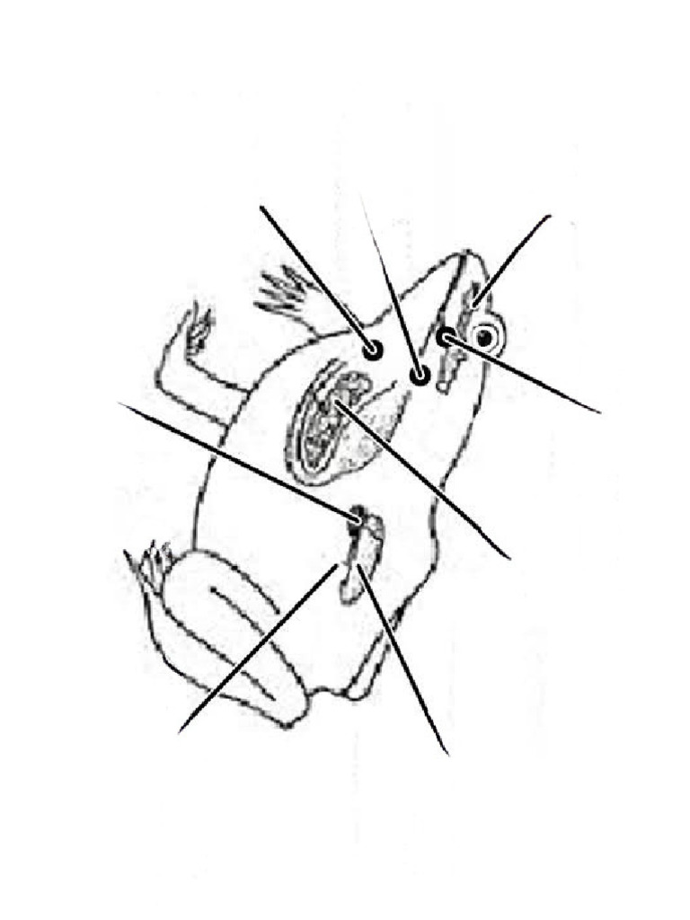 Untitled design pdf