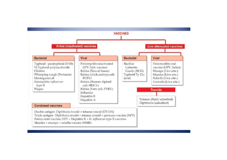 VACCINES | PDF