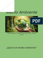 Medio Ambiente_ Josefina Asensio, Catalina Veiga, Alma Picardi, Victoria Ginart