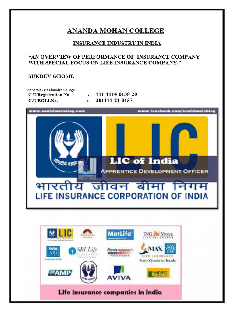 Insurance Industry | PDF | Insurance | Life Insurance