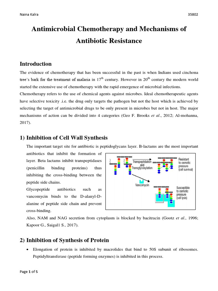 Antimicrobial Chemotherapy and Mechanisms of Antibiotic Resistance ...