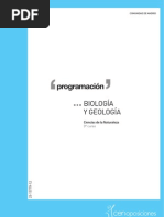 2010_byg_programacion_04012010160450