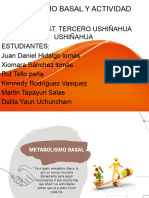 Metabolismo Basal y Actividad Fisica