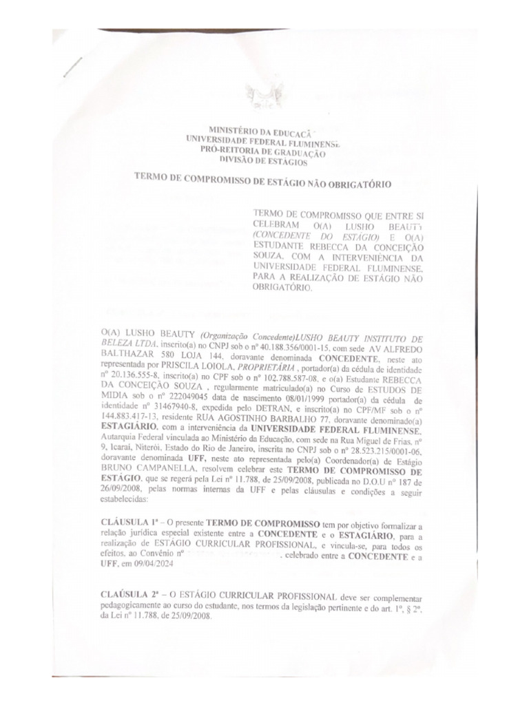 Novo Documento Uff | PDF