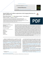 Spatial Fidelity and Uniform Exploration in The Foraging Behaviour of A Giant Predatory Ant