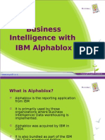 Business Intelligence With IBM Alphablox - An Overview