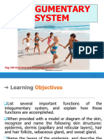 Lesson 7 Integumentary System-1 013657